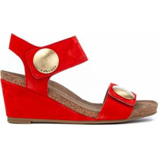 👉 Vrouwen rood 8020 Sandalo Fasce Zeppa 5711231248387