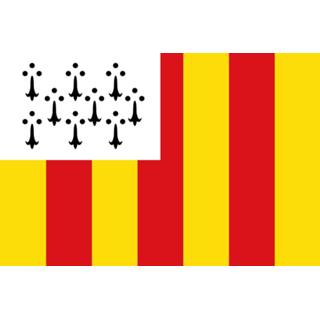 👉 Vlag active Geel 100x150cm 7424955545547
