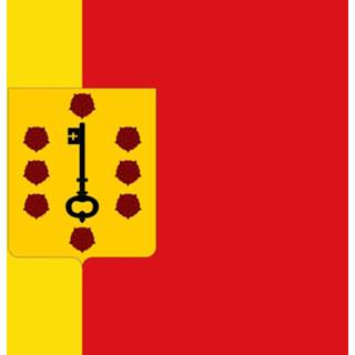 👉 Vlag active Comines-Warneton 100x150cm 7424950839818