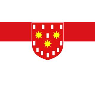 👉 Vlag active De Pinte 100x150cm 7424949642665