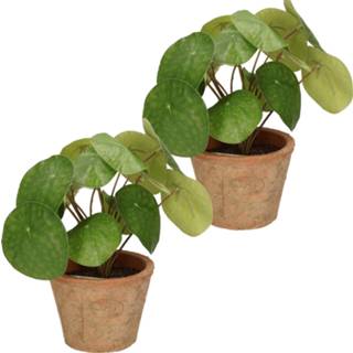 👉 Kunst plant kunststof active groen 2x kunstplanten in pot 25 cm kunstplant