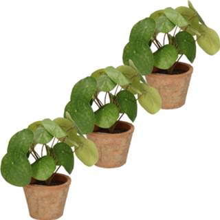 👉 Kunst plant kunststof active groen 3x kunstplanten in pot 25 cm kunstplant