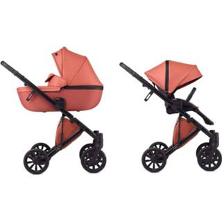 👉 Kinderwagen active kinderen Anex E-Type 2-in-1 - Boho 5902280014584