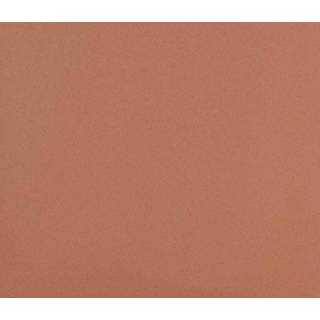 👉 Wandtegel rood keramiek CIPA GRES Colourstyle Cotto Vloer- en 10x10cm gerectificeerd Mat SW07312150 8018371088642