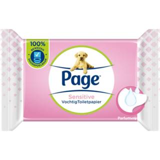 👉 Vochtig toiletpapier active Page Sensitive 38 stuks 5029053578811