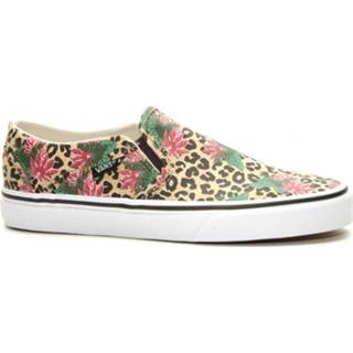 👉 Damesschoenen vrouwen print Vans Wm asher 4063487622918