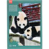 👉 HEMA Fotopuzzel Panda's 49x36 100 Stukjes 8720354191347