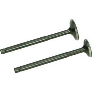 👉 Uitlaat active Klep set in- Fiddle Sym Mio Orbit X-pro 2pcs