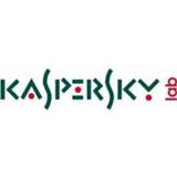 👉 Kaspersky Lab KL1939G5CDS-21 softwarelicentie & -uitbreiding 1 licentie(s) Licentie 2 jaar 5056244911812
