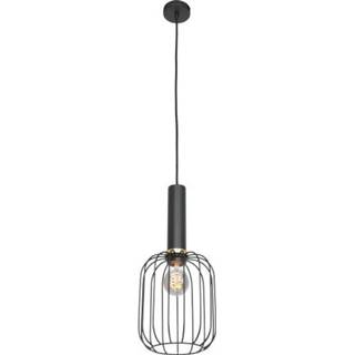 Hanglamp zwart modern binnen metaal Steinhauer - Aureole 16 cm 8712746135497