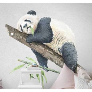 👉 Dierensticker Post NL nederlands Wilde dieren stickers Realistische panda met een plant