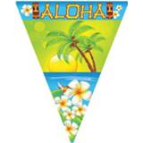 👉 Vlaggenlijn Vlaggenlijnen Hawaii Aloha Thema 5 Meter - 8718758813422