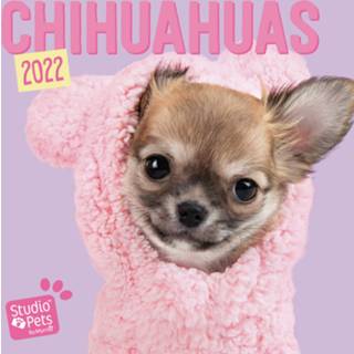 👉 Kalender multi papier Huisdieren/dieren 2022 Chihuahua honden 30 cm