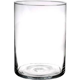👉 Vaas transparant glas One Size Cilinder vaas/vazen van D18 x H25 cm - Vazen/vaas Boeketvazen 8720276465168