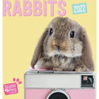 👉 Kalender multi papier Huisdieren/dieren 2022 grappige konijnen 30 cm