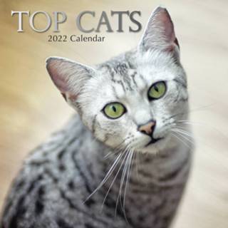 👉 Kalender multi papier Huisdieren/dieren 2022 poezen/katten ras 30 cm