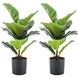 👉 Kunstplant groene groen kunststof Set van 2x stuks kunstplanten ficus Lyrata 55 cm