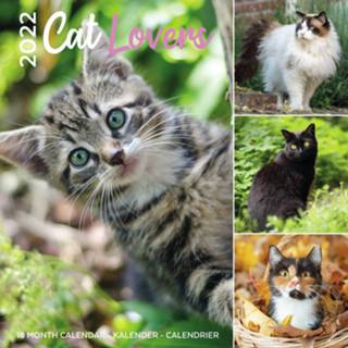 👉 Kalender multi papier Huisdieren/dieren 2022 poezen en katten 30 cm