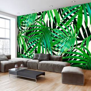 👉 Zelfklevend fotobehang - Tropical Leaves 5903428901537