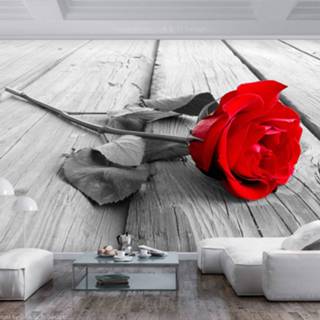 👉 Zelfklevend fotobehang rose - Abandoned 5903428900448