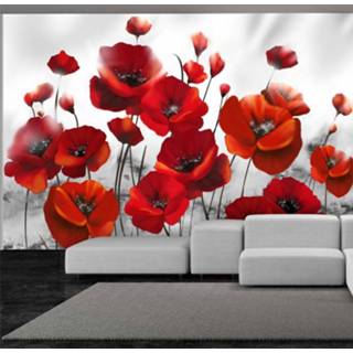 👉 Zelfklevend fotobehang - Poppies in the Moonlight 5903301803354