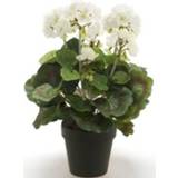 Kunstplant wit witte kunststof Geranium In Pot 35 Cm - Kamerplant 8719538483026