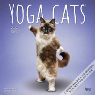 👉 Kalender multi papier Huisdieren/dieren 2022 katten/poezen yoga 30 cm