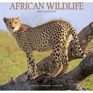 Kalender multi papier Wilde dieren 2022 African Wildlife 30 cm