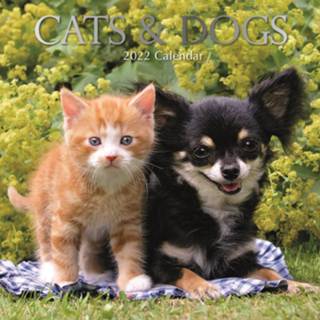 👉 Kalender multi papier Huisdieren/dieren 2022 katten/poezen en honden 30 cm