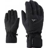 👉 Glove zwart uniseks 11 Ziener - Gary AS Ski Alpine Handschoenen maat 11, 4059749230359