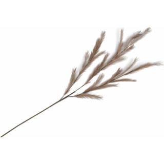 👉 Kunstplant active Coco maison Feather Spray 8719911615204