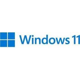 👉 Workstation Microsoft Windows 11 Pro for Workstations 1 licentie(s)
