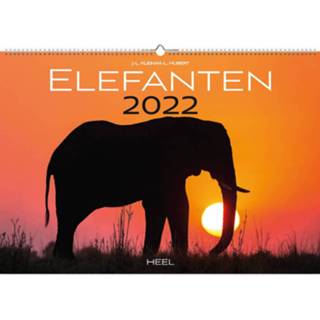 👉 Kalender papier Comello Olifanten 2022 47,5 X 33 Cm 9783966642132