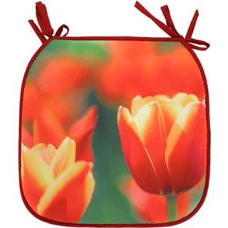 👉 Tuinstoelkussen rood polyester Gerimport Tulp 38 X Cm 8430540977869