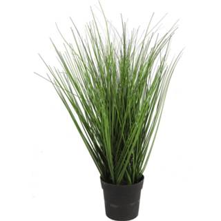 👉 Kunstplant groen Countryfield Poaceae 50 Cm Polyresin 8718317758393