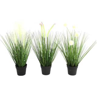👉 Kunstplant Countryfield Poaceae 15 X 46 Cm Polysteen 3 Stuks 8718317757853