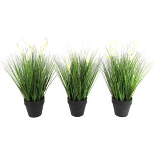 👉 Kunstplant Countryfield Poaceae 30 X 60 Cm Polysteen 3 Stuks 8718317757860