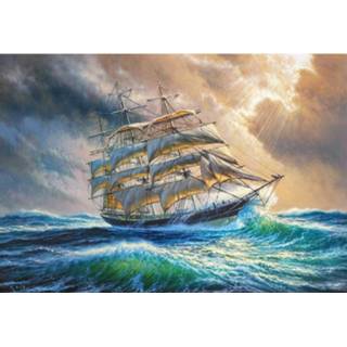 👉 Legpuzzel Castorland Sailing Against All Odds 1000 Stukjes 5904438104529