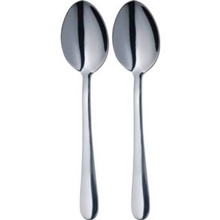 👉 Dessertlepel RVS Dessertlepels - Set Van 2 Masterclass 5028250493590