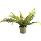 👉 Kunstplant groen Countryfield Monilophyta 55 X 40 Cm Polysteen 8718317701825