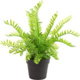 👉 Kunstplant groen Countryfield Pteropsida 28 X 30 Cm Polysteen 8718317701924