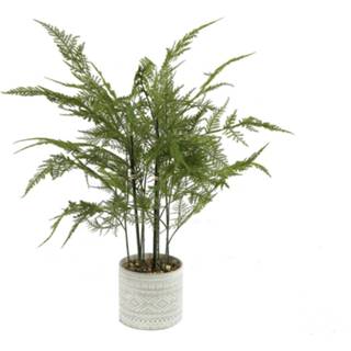 👉 Kunstplant groen zijde Countryfield Monilophyta 54 X 55 Cm 8718317711596