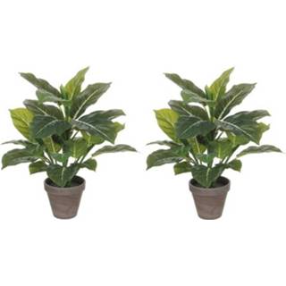 👉 Kunstplant groene grijze 2x Philodendron Kunstplanten 49 Cm In Pot - 8720147345209
