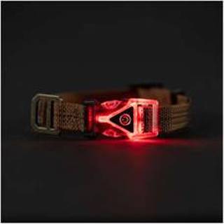 👉 Bruin m Carhartt Lighted Dog Collar - 192776991016