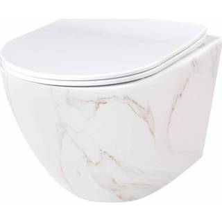 👉 Wandcloset REA Carlo Rimless 49.5 cm. Soft-Close Zitting - Aiax Shiny 5902557365760