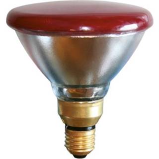 👉 Spaar lamp rood Kerbl Infrarood Spaarlamp 175W 4018653222478
