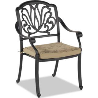 👉 Terras stoel bruin Tuinstoel AMMELOU met kussen 5400551388858 5400943183177