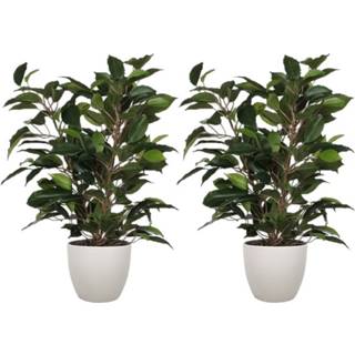 👉 Kunstplant groene 2x stuks ficus 40 cm met plantenpot taupe D13.5 en H12.5