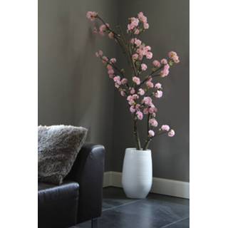 👉 Active roze Kersen Bloesemboom. Incl pot.± 150 cm