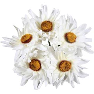 👉 Active wit Bosje Asters 20 cm